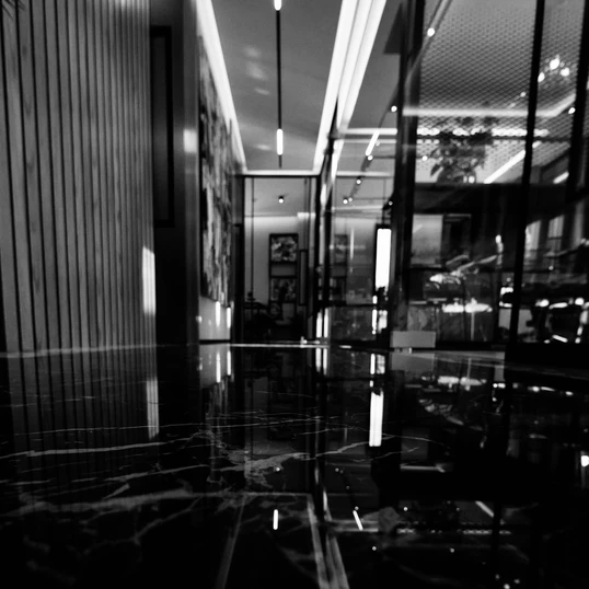 societario e compleanca societaria